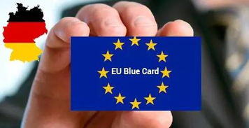 在荷兰留学怎么办理欧盟篮卡签证