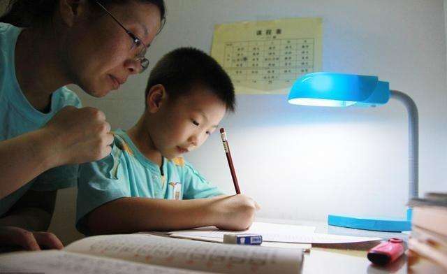  专业家庭作业辅导，助力孩子学习成长！