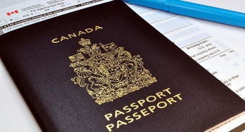 申请加拿大留学政策
