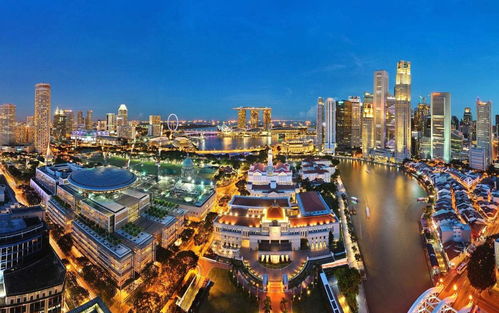新加坡的留学生在国内的认可度